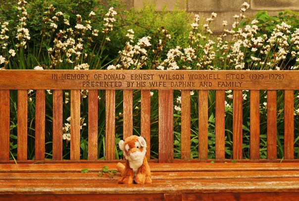 Beautifully balance bench photo