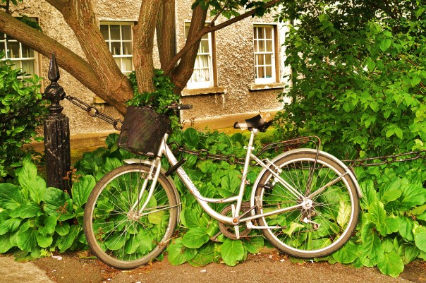 Bicycle in Trinity