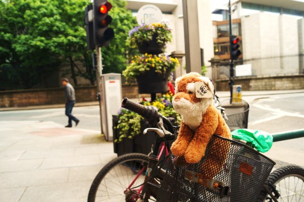 Bicycle on Nassau St