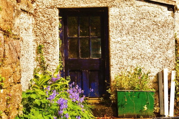Greenhouse Blue door