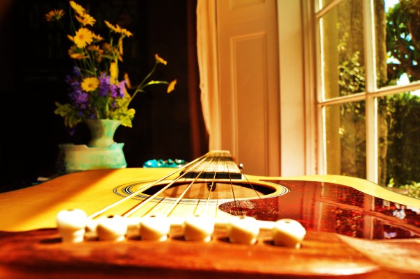 Guitar and Flowers