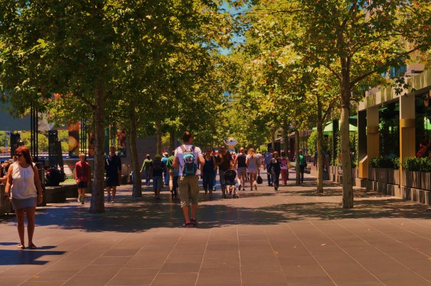 Streets of Tree Shade