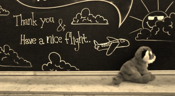 Thank You and Have a Nice Flight