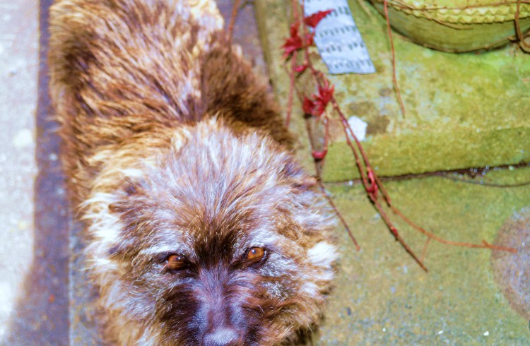 What are you looking at?