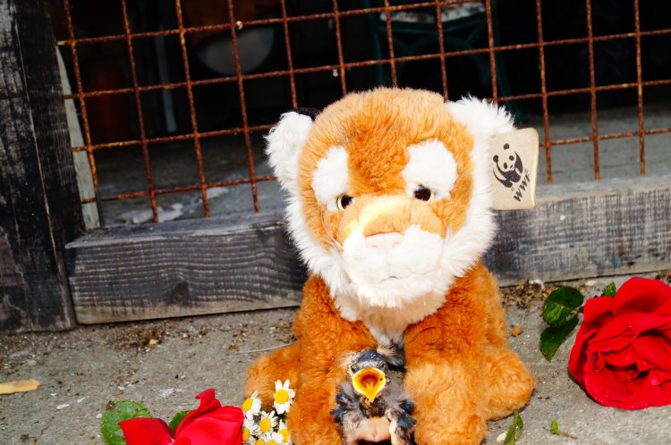 TPJ and his friend Tweetser