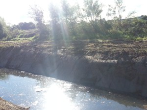 Would I have seen this and liked it so much?