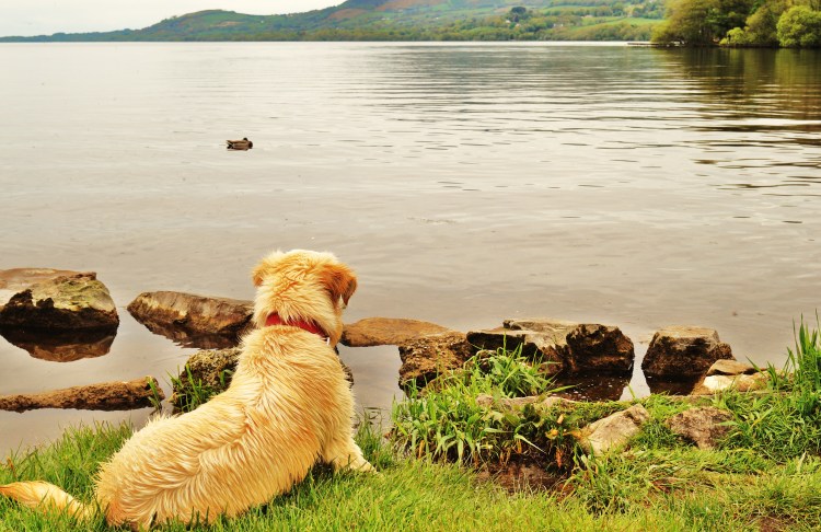 Listening to the Air