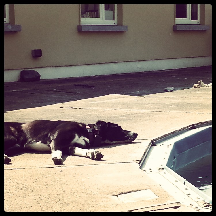 Chillin' Out, Maxing, Relaxing 