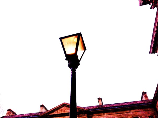 Light in the White Sky