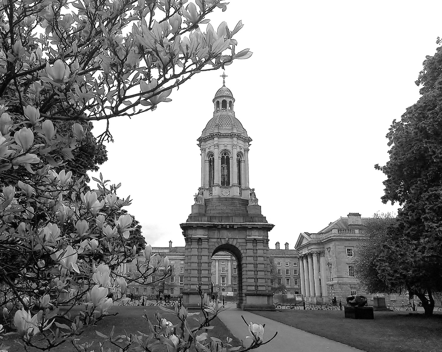 Trinity in the Springtime – Tiger Paws Junior