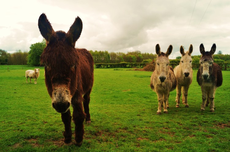 You'll do what I say...or these guys will have words with you kapeesh