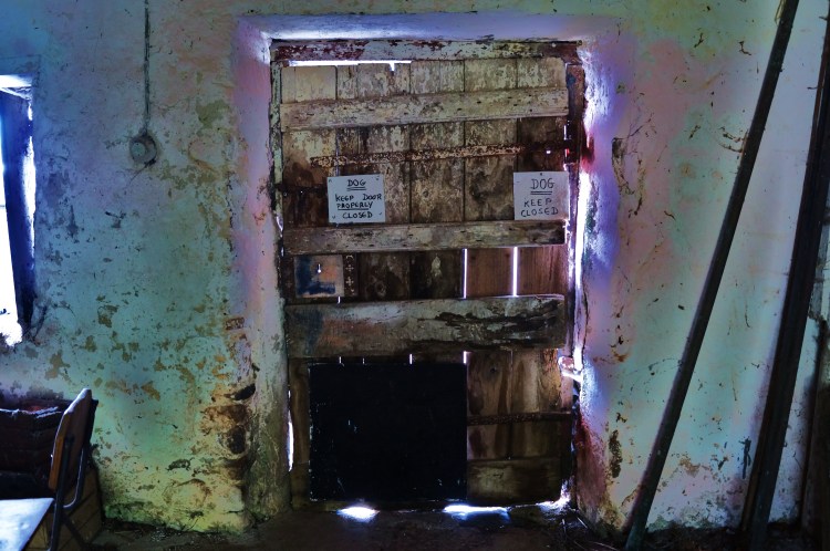 Dog, Keep Door Closed