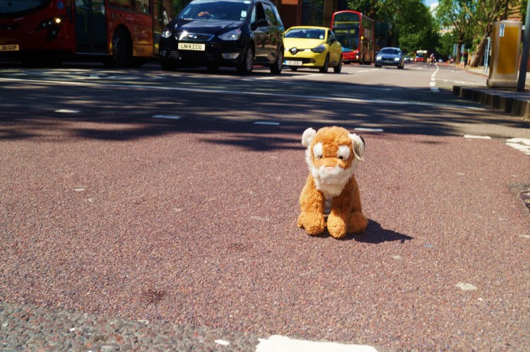 Please TPJ, Get Off the Road!!!