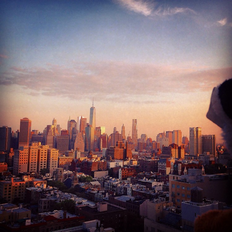 How Brooklyn Sees Manhatten - Brooklyn July  2014