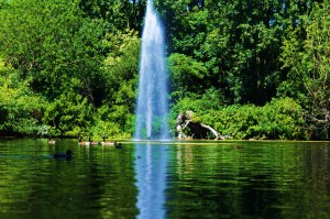 Water fountain Reflection