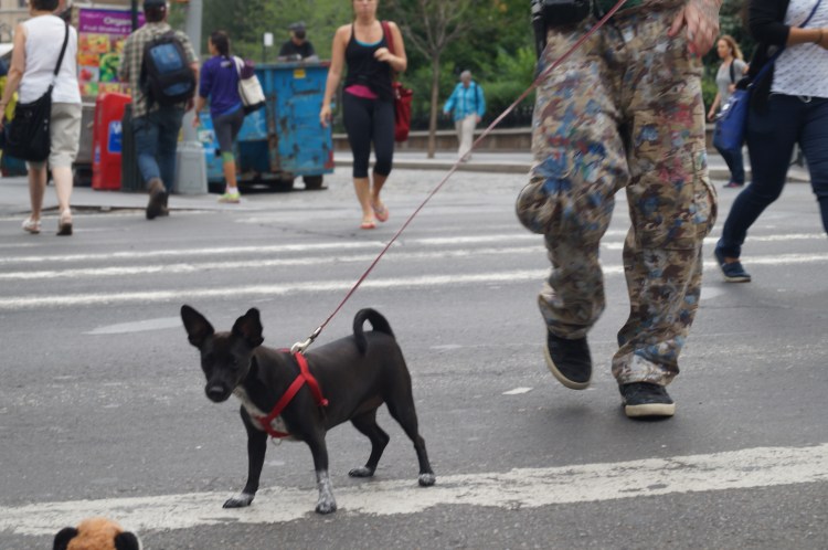 Feelings, New York, 2014