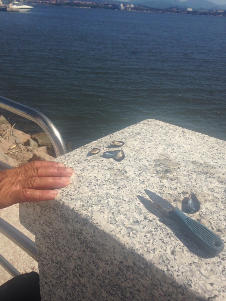 He showed us how to use Mussels as Bait