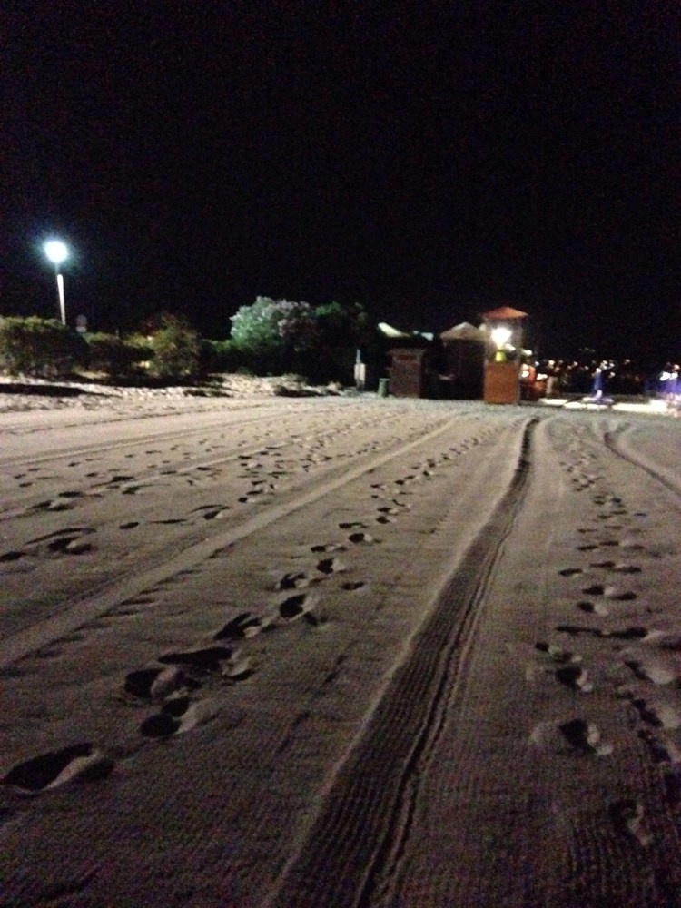 Beach, Beer, Beautiful Bella Vita