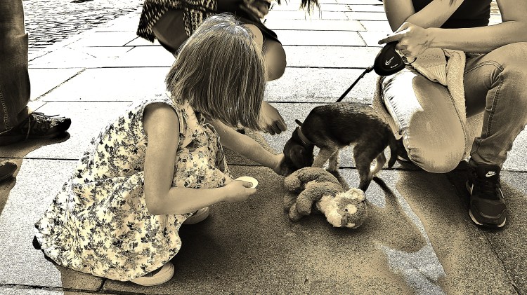 Little Girl and Puppy