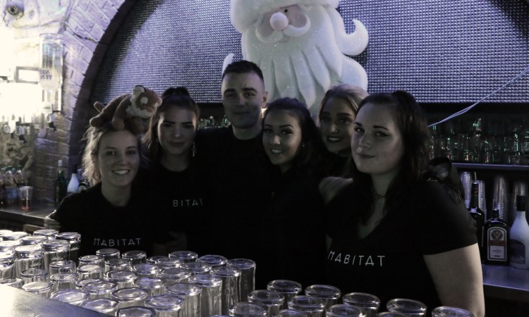 habitat-staff