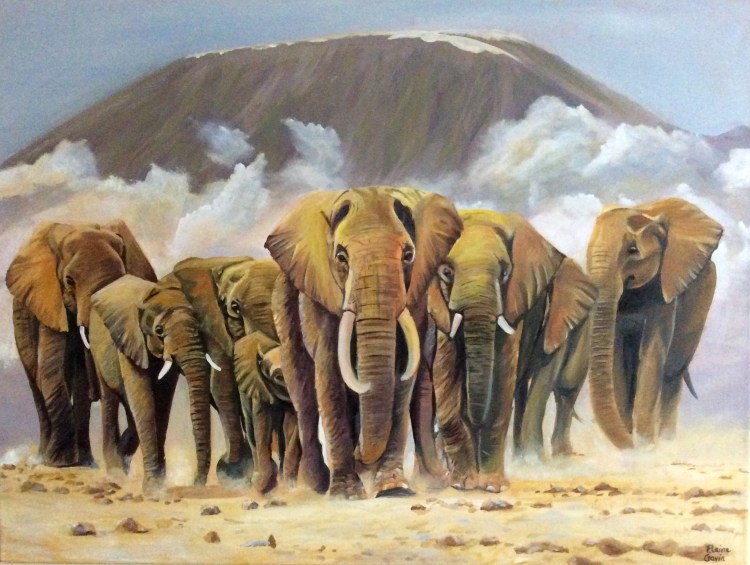 Elephants