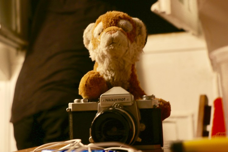 29559734-635B-4646-B790-7CD68BF78D9C