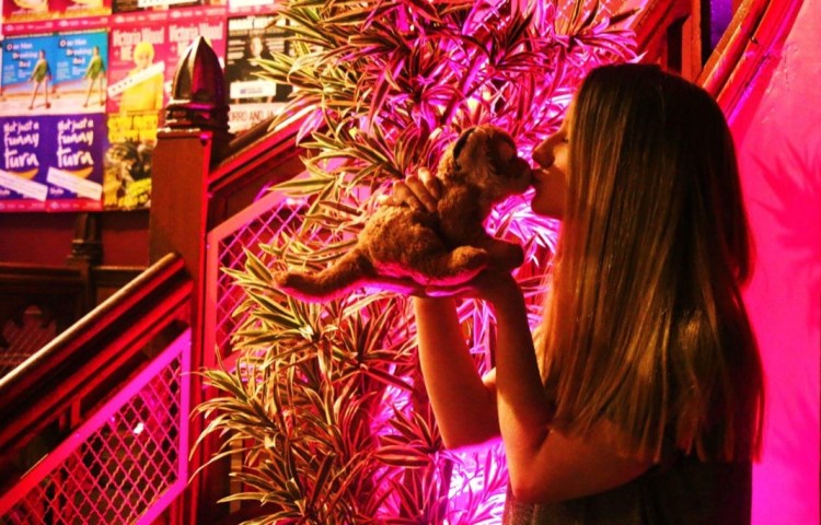 A9308E4D-6FE6-4E03-8B3E-AC79997C9CB2