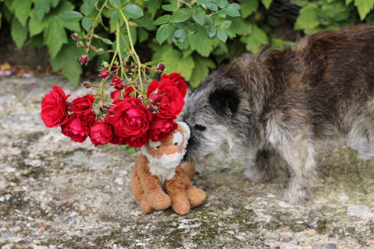 1B160771-3941-4250-8787-3D15D88D773D