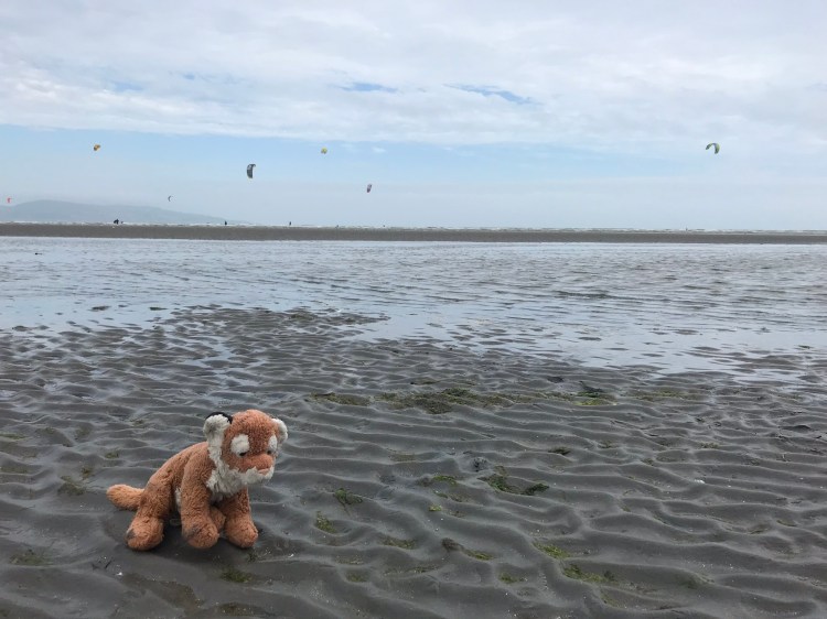 E9A2D221-47C4-4D8B-82EE-2678F92AD76A