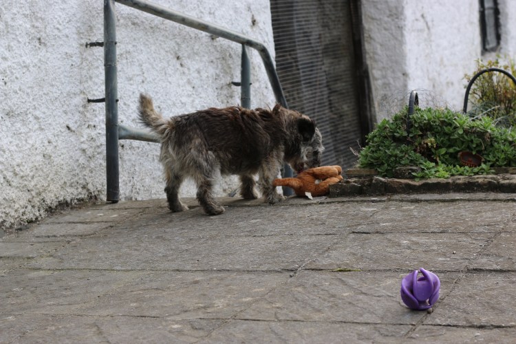 EC537FD4-C5F1-4DA0-A4EF-394146CE0F14